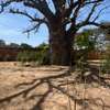 VILLA SUR TERRAIN 8700M2 KEUR YOUNGAR thumb 10