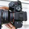 Sony Alpha A7 iv 24-70 f2.8 thumb 2