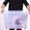 Box transparent 80l thumb 0