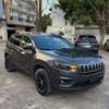 Jeep Cherokee 4x4 – 2019 thumb 10