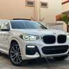 BMW x4 2019 thumb 0