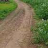 Terrain d’angle agricole ou habitation thumb 0
