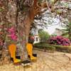 Baobab Lodge thumb 5