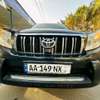 Toyota parado TXL 2012 thumb 13