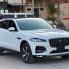 Jaguar _2022 thumb 1