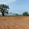 CHAMPS 2 Hectares à Vendre à Sangué (Thiès) thumb 1