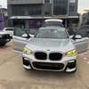 BMW X4 xDrive30i thumb 1