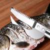 Couteau à écailles de poisson thumb 0