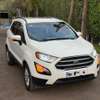 2019 FORD ESCOSPORT 2.0 4wd thumb 10
