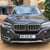 Bmw x5 thumb 0