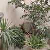 Appartement F5 en duplex Ngor Almadies thumb 2
