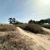 A VENDRE TERRAIN CAP SKIRRING  800m2 thumb 12