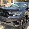 Toyota Land cruiser VX thumb 13
