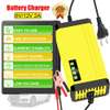 Chargeur de batterie de voiture/moto automatique thumb 1
