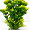 Plante thumb 3