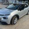 Citron c3 cactus thumb 7