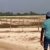 TERRAIN À VENDRE – ÎLES DU SINE-SALOUM thumb 5