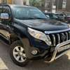 Toyota Landre cruser thumb 6