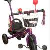 tricycle pour enfant est un modèle évolutif 1 a 6 ans thumb 2