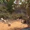 Terrain de 300m2 à Keur Ndiaye lo thumb 1