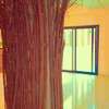 APPARTEMENTS F4 NEUFS  GRAND STANDING SACRÉ CŒUR 1 thumb 12