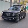 VENDRE HAVAL Special Edition 2023 thumb 2