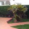 Villa à vendre Ngor ALMADIES thumb 5
