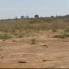 Terrains 225m2 à vendre à Thiès Pallo thumb 6