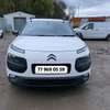 C4 Cactus thumb 1