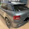 C4 Cactus 2015 thumb 1
