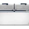 CONGELATEUR 850LITRES FINIX HORIZONTAL 2PORTES BLANC thumb 2