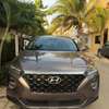 Hyundai Santa Fe 2019 thumb 1