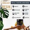 SHILAJIT RESIN thumb 3