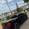 Ford thumb 10