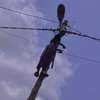Cheikhoul khadim électricité général thumb 6