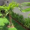 Le gazon naturel par m² thumb 5