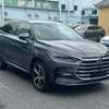 BYD Tang Hybrid  2022 thumb 11