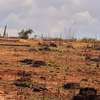 LOT DE TERRAINS 300 M² A GUEREO - SOMONE thumb 3