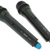 Bose BS-206 - Système de radio avec 2 microphones thumb 5