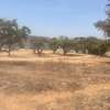 Terrain de 28200 M2 à vendre à noflaye thumb 2