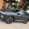 Hyundai Santafei thumb 1