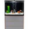 Aquarium thumb 4