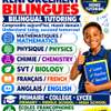 Cours de renforcement bilingues Français - Anglais à Dakar thumb 8