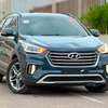 Hyundai MaxCruz Evgt Année : 2017 thumb 1