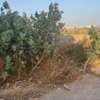 Terrains 150m2 TF à vendre à Senegindia thumb 0