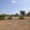 Terrain Agricole de 21,05 Hectares vers Thiénaba – Thiès thumb 6