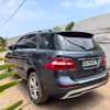 Mercedes-Benz ML 350 2015 thumb 8