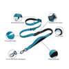 Laisse Gros Chien jusqu'a 45 kg thumb 2