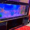 Très jolie et  grand Aquarium de 250 Litres et 1m50 de long thumb 1