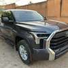 Toyota Toundra 2023 thumb 10